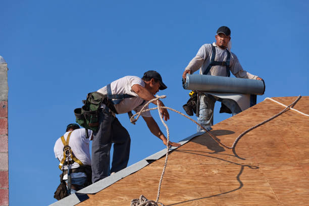 Best Roof Leak Repair  in Kodi Station, AK