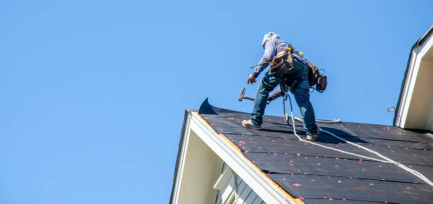 Best Roof Waterproofing Services  in Kodi Station, AK